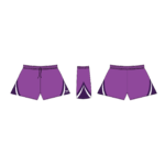 MV S008
