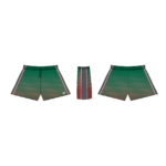 MV S017